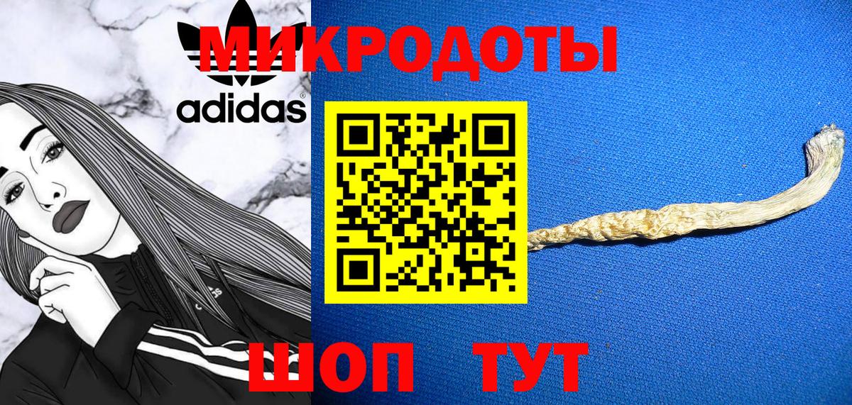 Темрюк  Галлюциногенные грибы GOLDEN TEACHER  Вход с VPN 