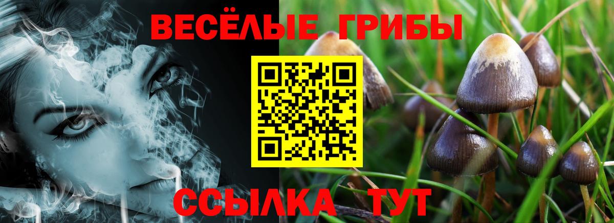Галлюциногенные грибы ЛСД Темрюк